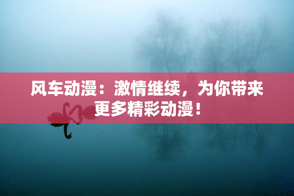 风车动漫：激情继续，为你带来更多精彩动漫！