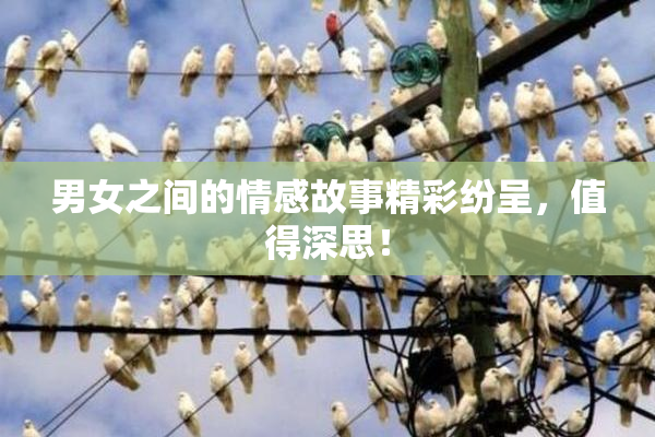 男女之间的情感故事精彩纷呈，值得深思！