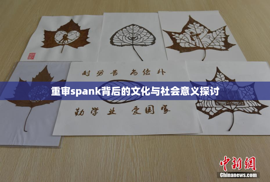 重审spank背后的文化与社会意义探讨