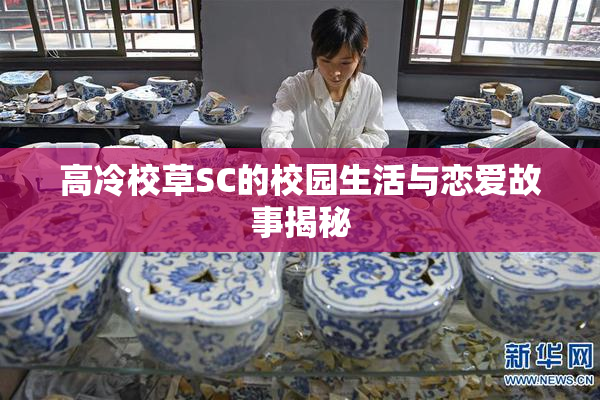 高冷校草SC的校园生活与恋爱故事揭秘