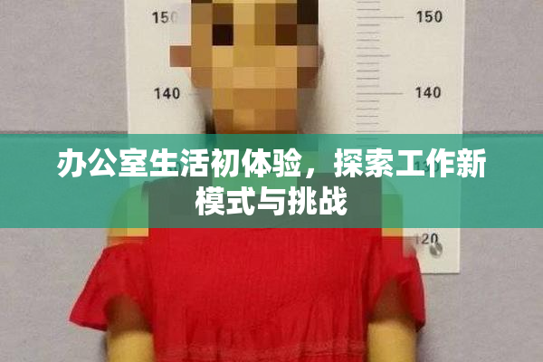 办公室生活初体验，探索工作新模式与挑战