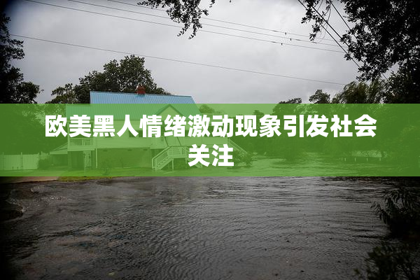 欧美黑人情绪激动现象引发社会关注