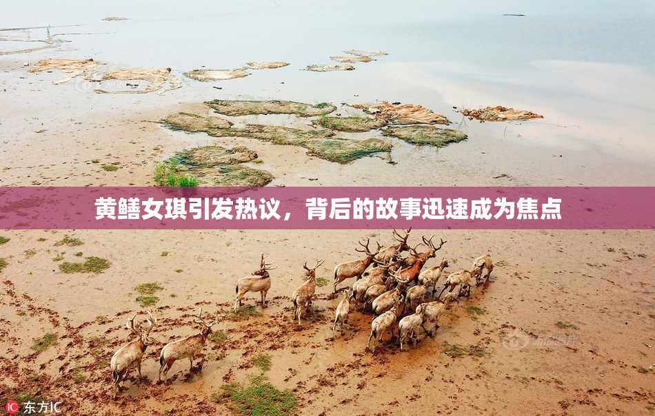 黄鳝女琪引发热议，背后的故事迅速成为焦点