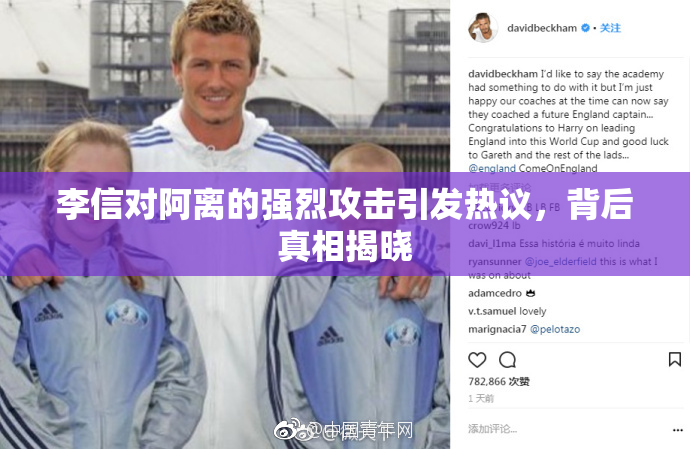 李信对阿离的强烈攻击引发热议，背后真相揭晓