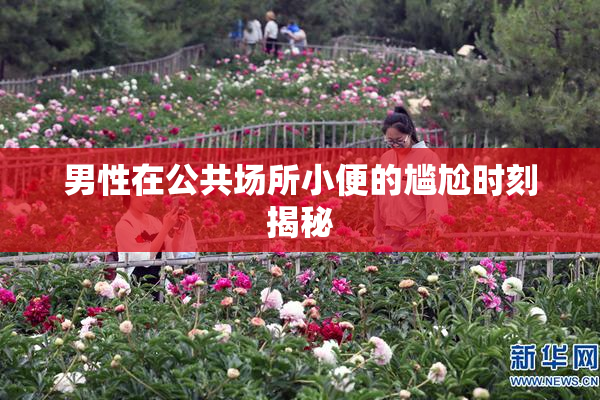 男性在公共场所小便的尴尬时刻揭秘