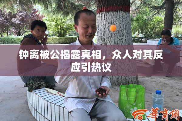 钟离被公揭露真相，众人对其反应引热议
