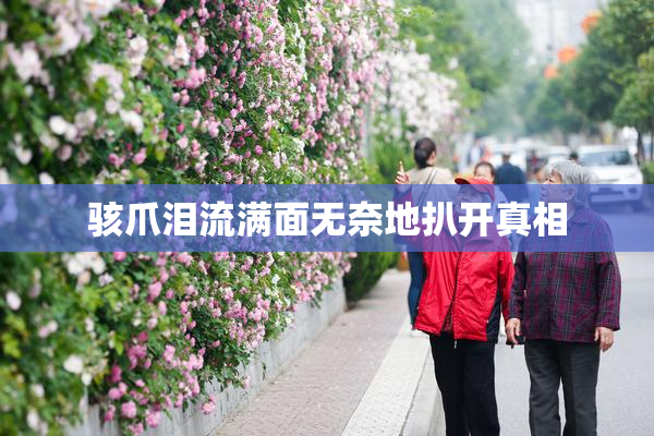 骇爪泪流满面无奈地扒开真相