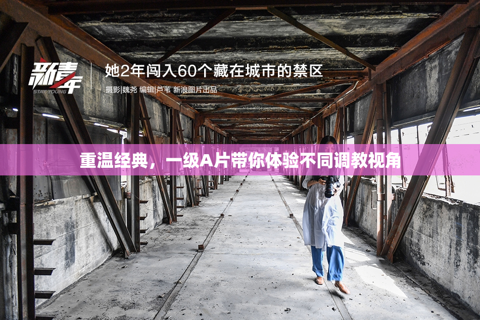 重温经典，一级A片带你体验不同调教视角