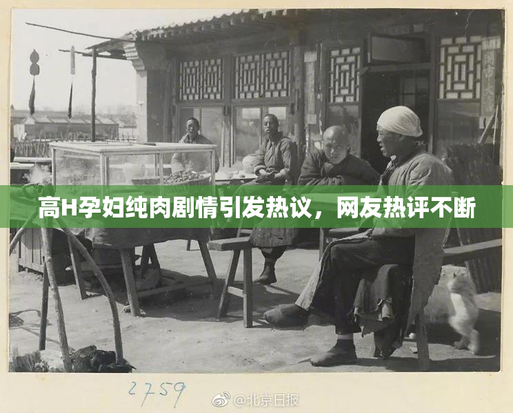 高H孕妇纯肉剧情引发热议，网友热评不断