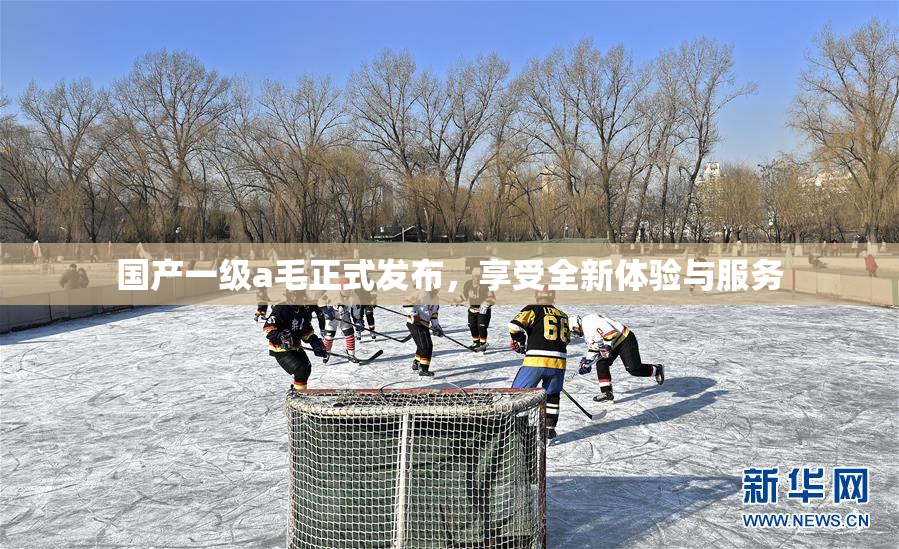 国产一级a毛正式发布，享受全新体验与服务