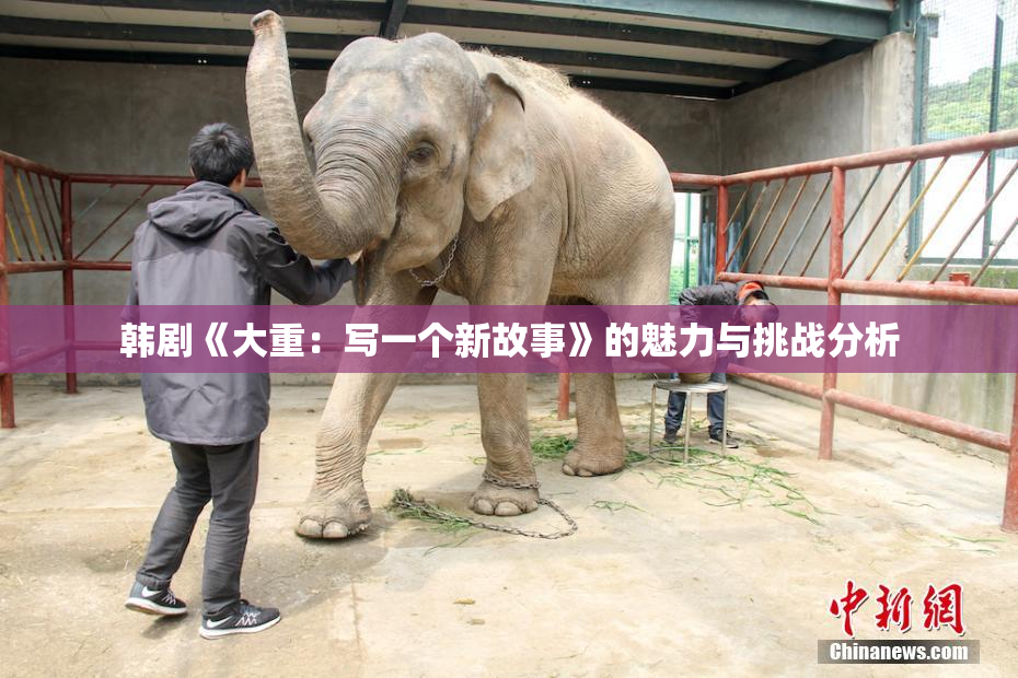 韩剧《大重：写一个新故事》的魅力与挑战分析