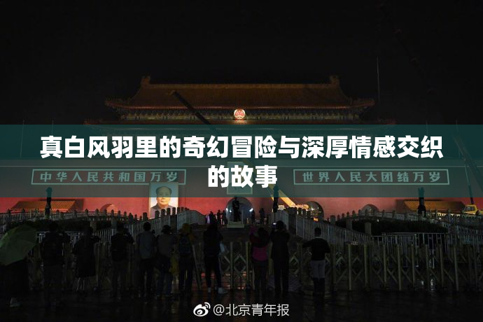 真白风羽里的奇幻冒险与深厚情感交织的故事