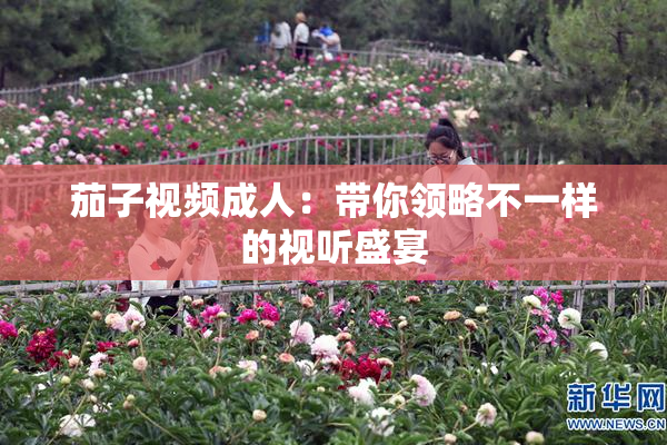 茄子视频成人：带你领略不一样的视听盛宴
