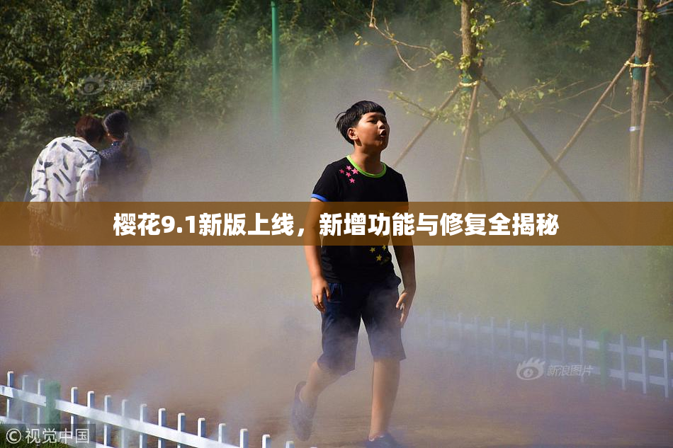 樱花9.1新版上线，新增功能与修复全揭秘