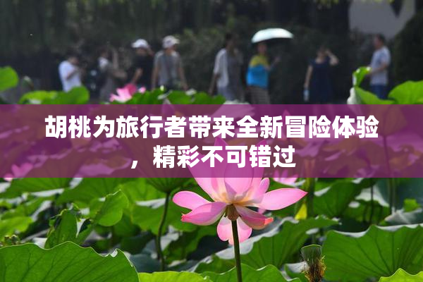 胡桃为旅行者带来全新冒险体验，精彩不可错过