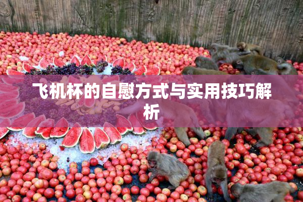 飞机杯的自慰方式与实用技巧解析