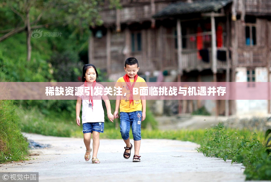 稀缺资源引发关注，B面临挑战与机遇并存