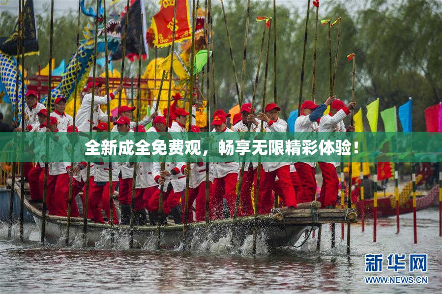 全新成全免费观，畅享无限精彩体验！