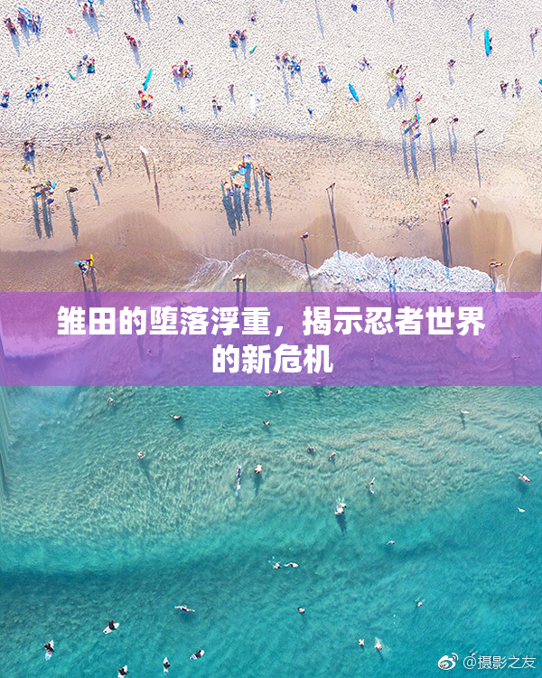 雏田的堕落浮重，揭示忍者世界的新危机