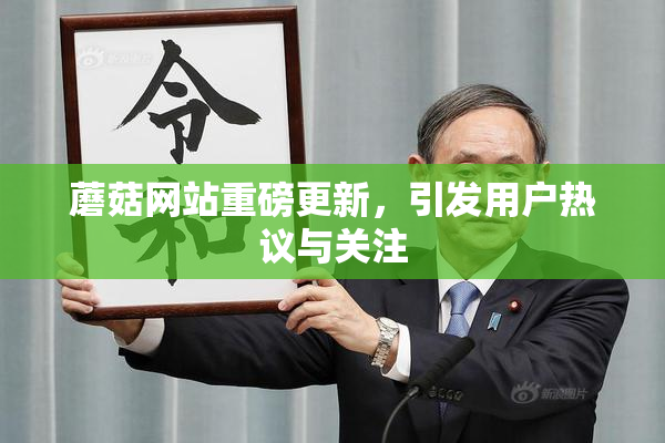 蘑菇网站重磅更新，引发用户热议与关注