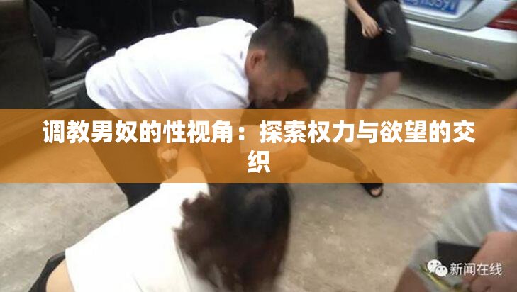 调教男奴的性视角：探索权力与欲望的交织