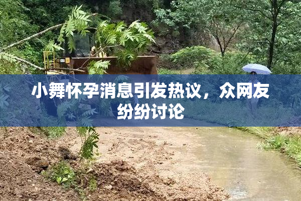 小舞怀孕消息引发热议，众网友纷纷讨论