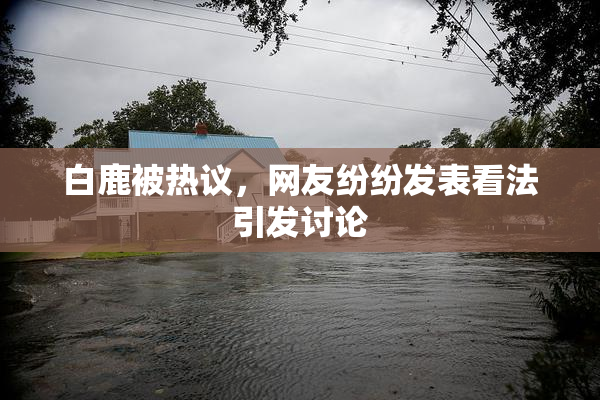 白鹿被热议，网友纷纷发表看法引发讨论