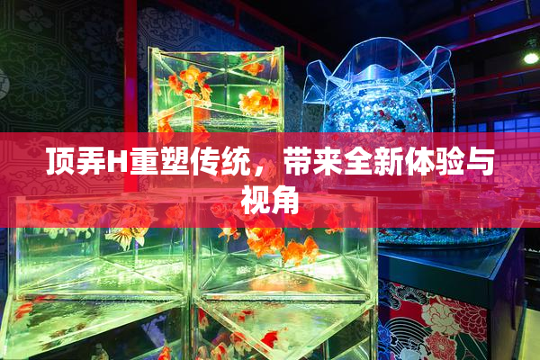 顶弄H重塑传统，带来全新体验与视角