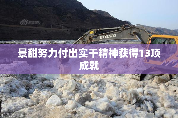 景甜努力付出实干精神获得13项成就