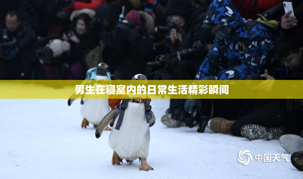 男生在寝室内的日常生活精彩瞬间