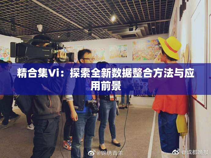 精合集Vi：探索全新数据整合方法与应用前景