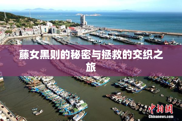 藤女黑则的秘密与拯救的交织之旅
