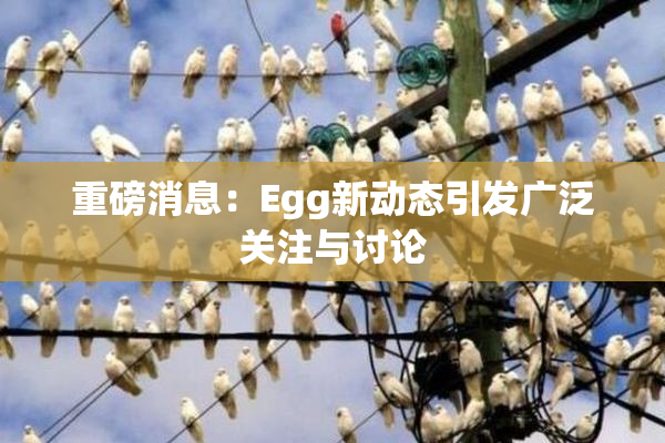 重磅消息：Egg新动态引发广泛关注与讨论