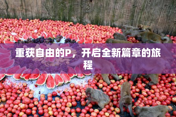 重获自由的P，开启全新篇章的旅程