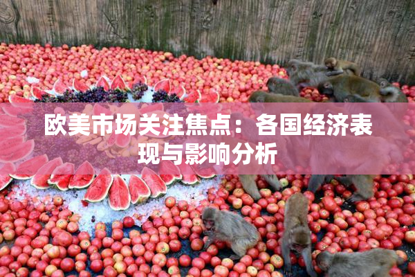 欧美市场关注焦点：各国经济表现与影响分析