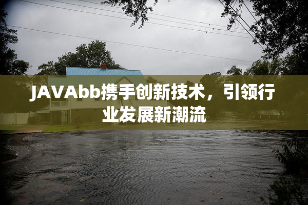 JAVAbb携手创新技术，引领行业发展新潮流