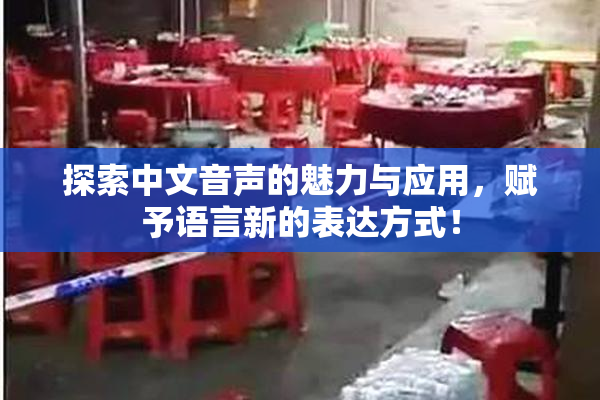 探索中文音声的魅力与应用，赋予语言新的表达方式！