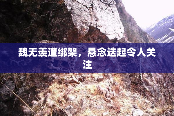 魏无羡遭绑架，悬念迭起令人关注
