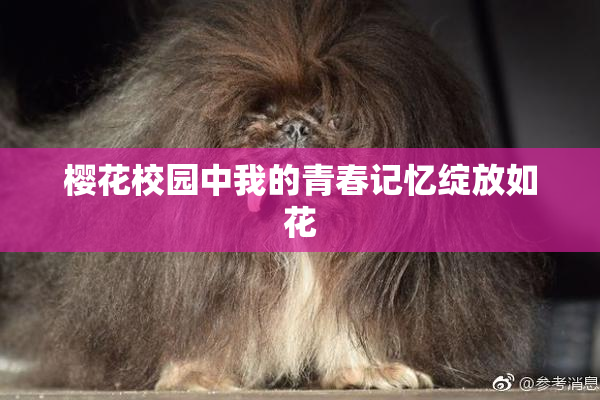樱花校园中我的青春记忆绽放如花