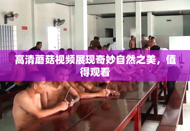 高清蘑菇视频展现奇妙自然之美，值得观看