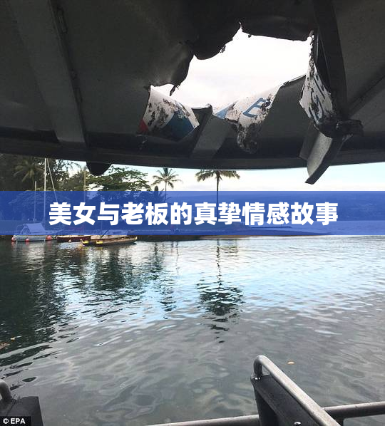 美女与老板的真挚情感故事