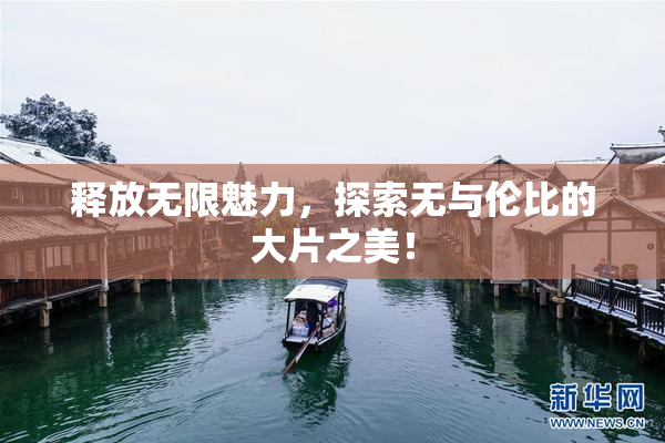释放无限魅力，探索无与伦比的大片之美！