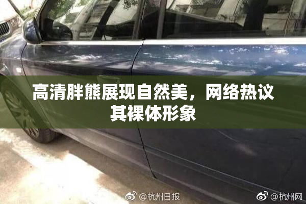 高清胖熊展现自然美，网络热议其裸体形象