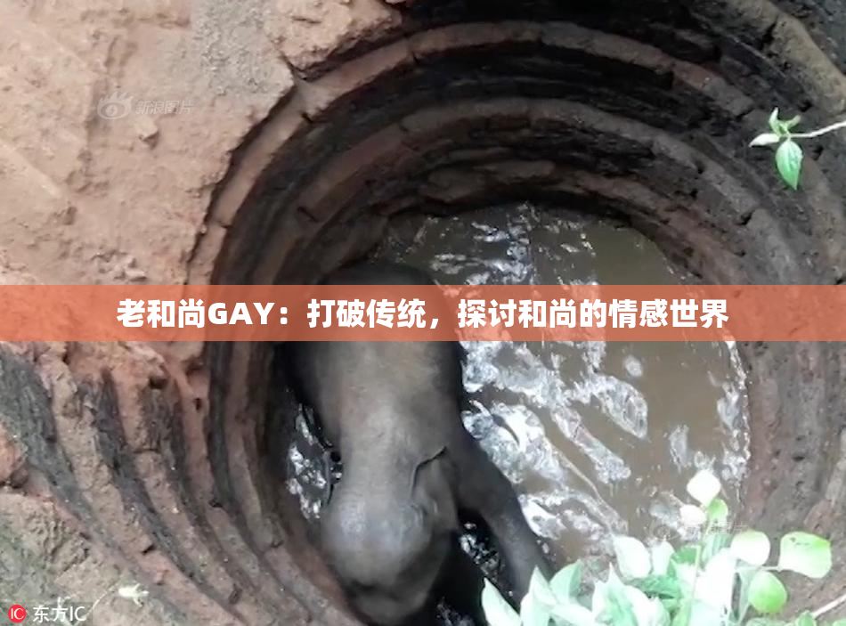 老和尚GAY：打破传统，探讨和尚的情感世界