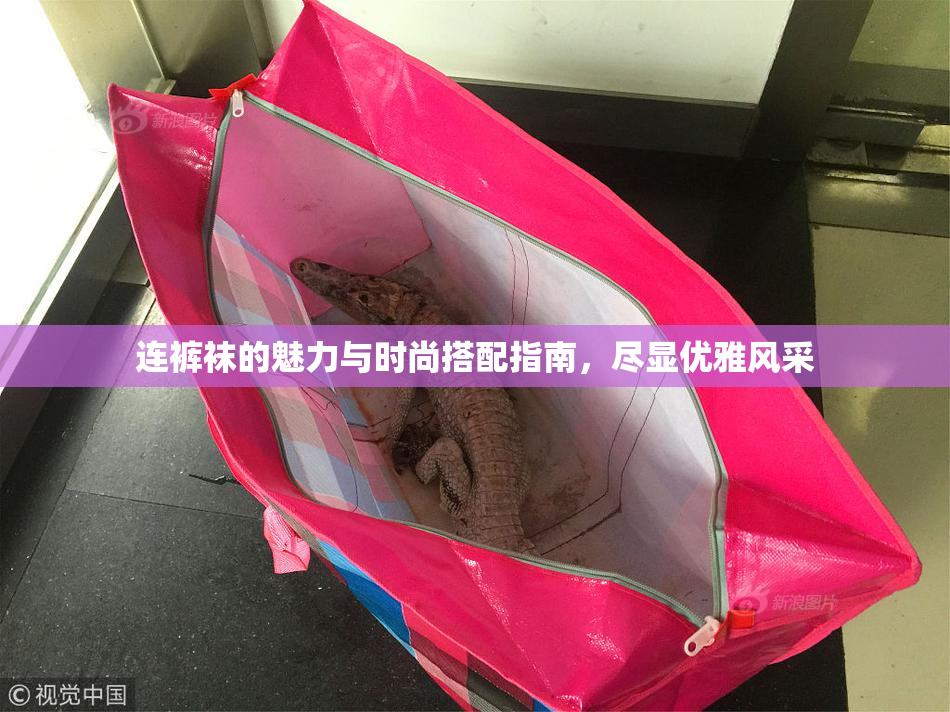 连裤袜的魅力与时尚搭配指南，尽显优雅风采