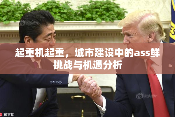 起重机起重，城市建设中的ass鲜挑战与机遇分析