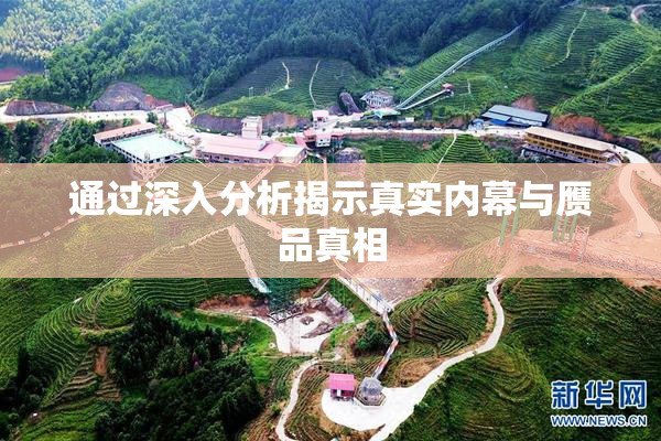 通过深入分析揭示真实内幕与赝品真相