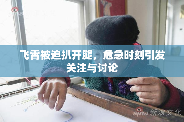 飞霄被迫扒开腿，危急时刻引发关注与讨论