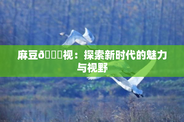 麻豆🔞视：探索新时代的魅力与视野