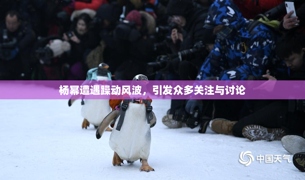 杨幂遭遇躁动风波，引发众多关注与讨论